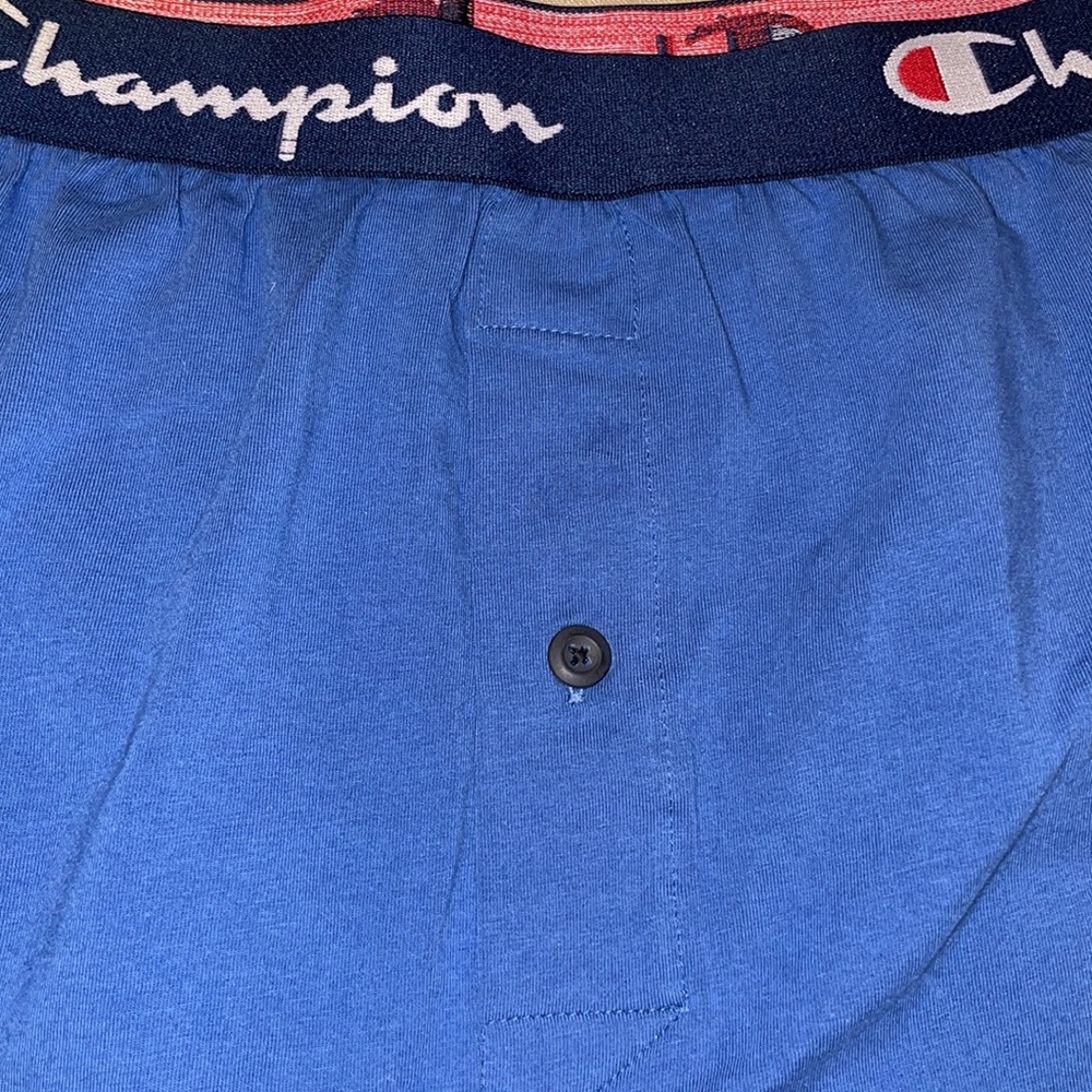 Champion Boxers - Picture 4 of 4